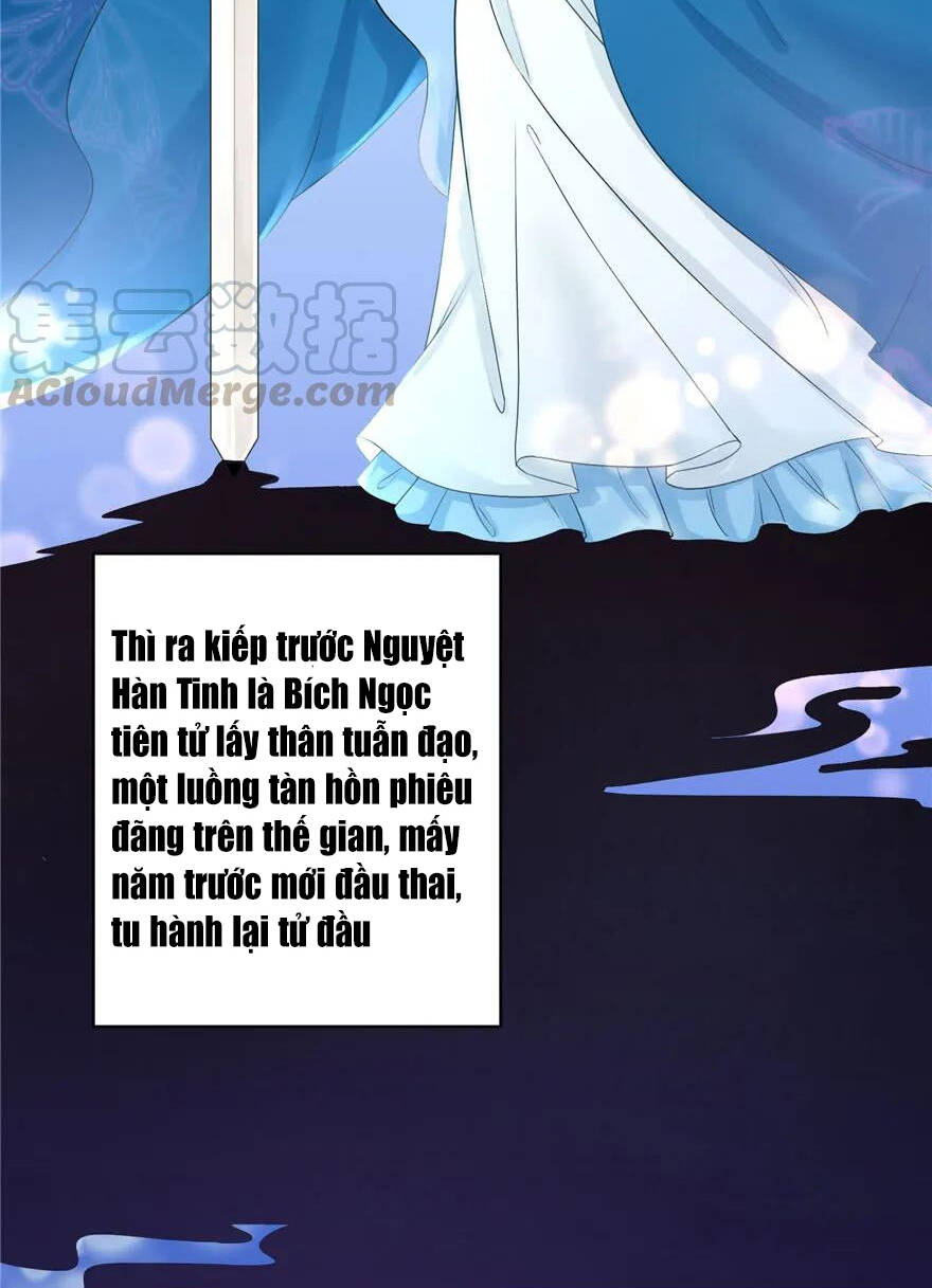 Đồ Đệ Nhà Ta Lại Quải Rồi - Chương 174