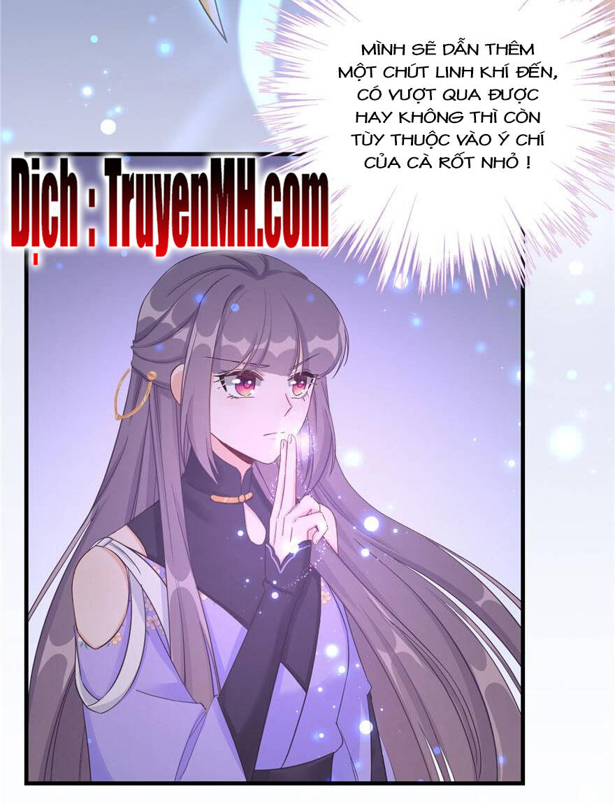 Đồ Đệ Nhà Ta Lại Quải Rồi - Chương 177