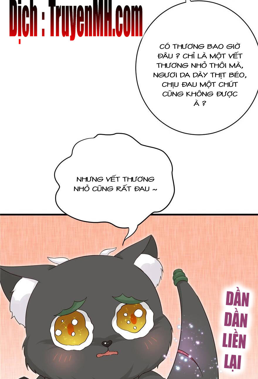 Đồ Đệ Nhà Ta Lại Quải Rồi - Chương 182