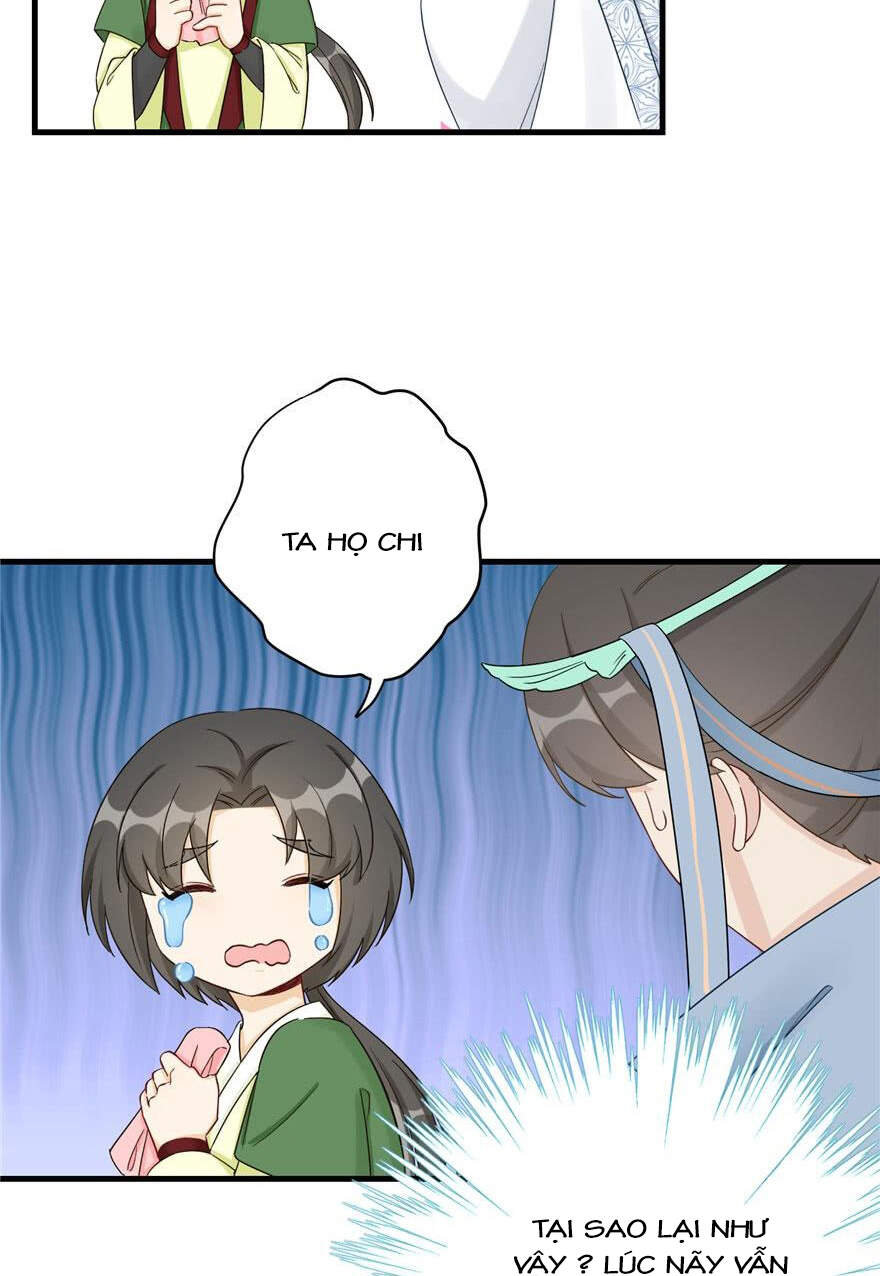 Đồ Đệ Nhà Ta Lại Quải Rồi - Chương 201