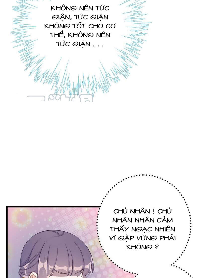 Đồ Đệ Nhà Ta Lại Quải Rồi - Chương 202