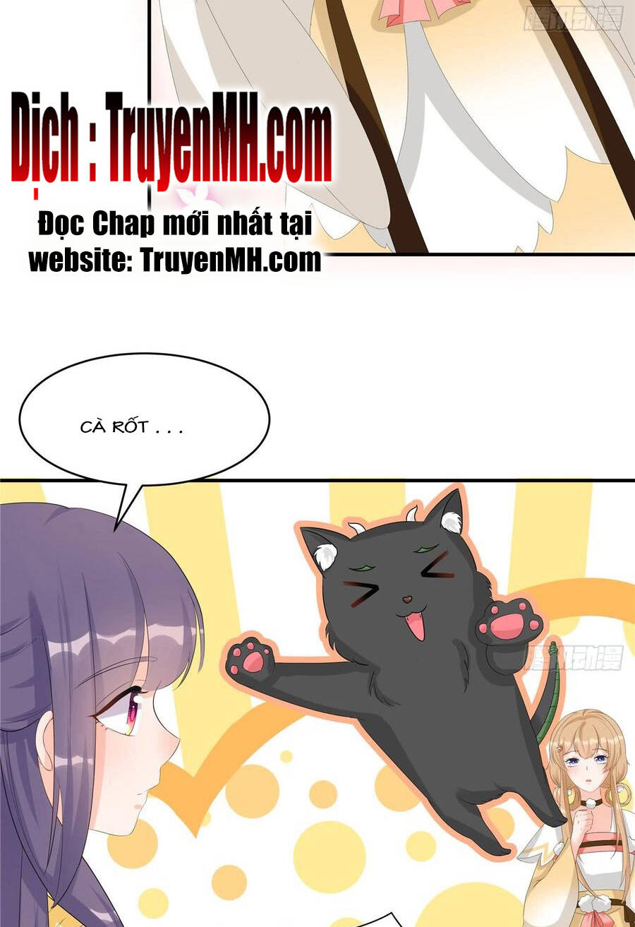 Đồ Đệ Nhà Ta Lại Quải Rồi - Chương 229