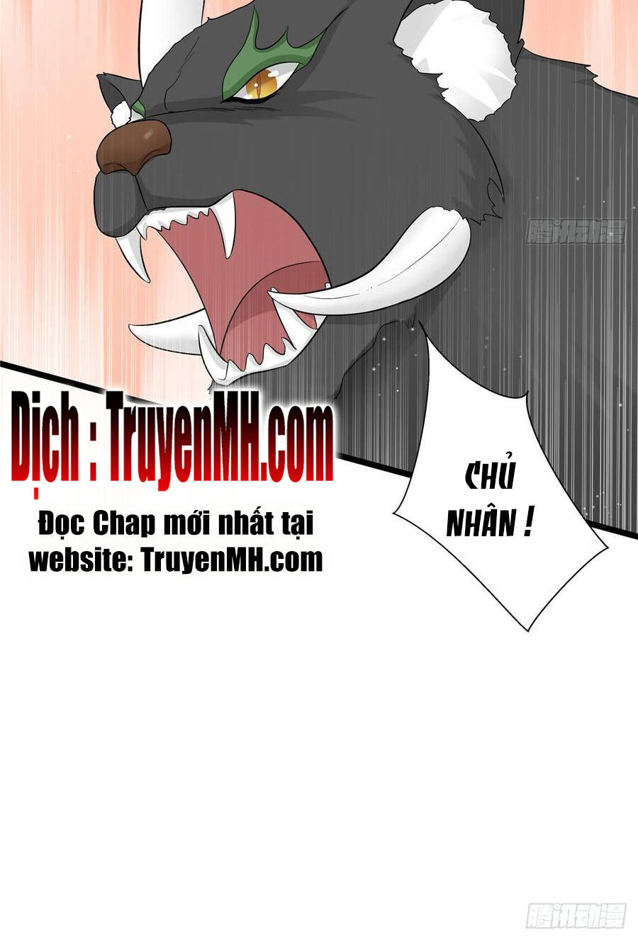 Đồ Đệ Nhà Ta Lại Quải Rồi - Chương 233