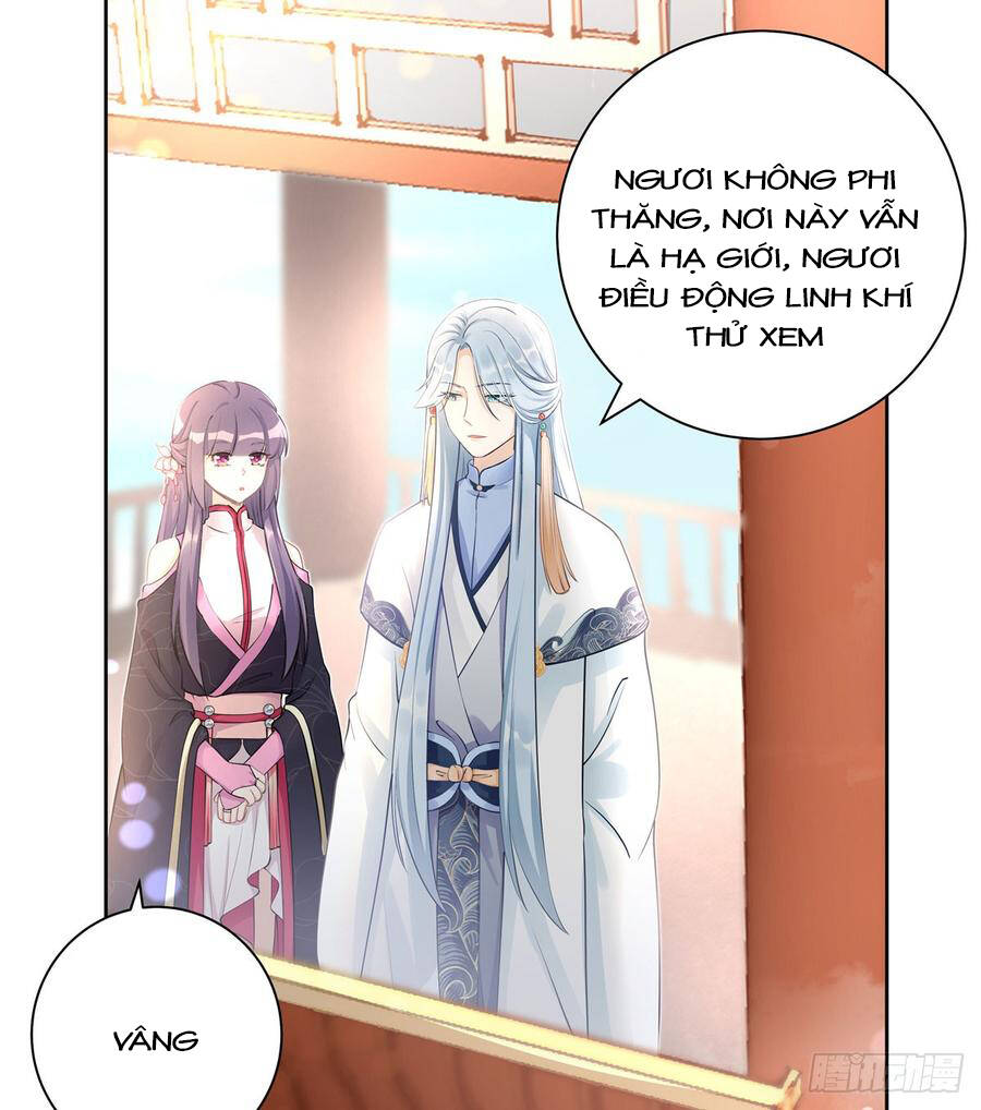 Đồ Đệ Nhà Ta Lại Quải Rồi - Chương 239