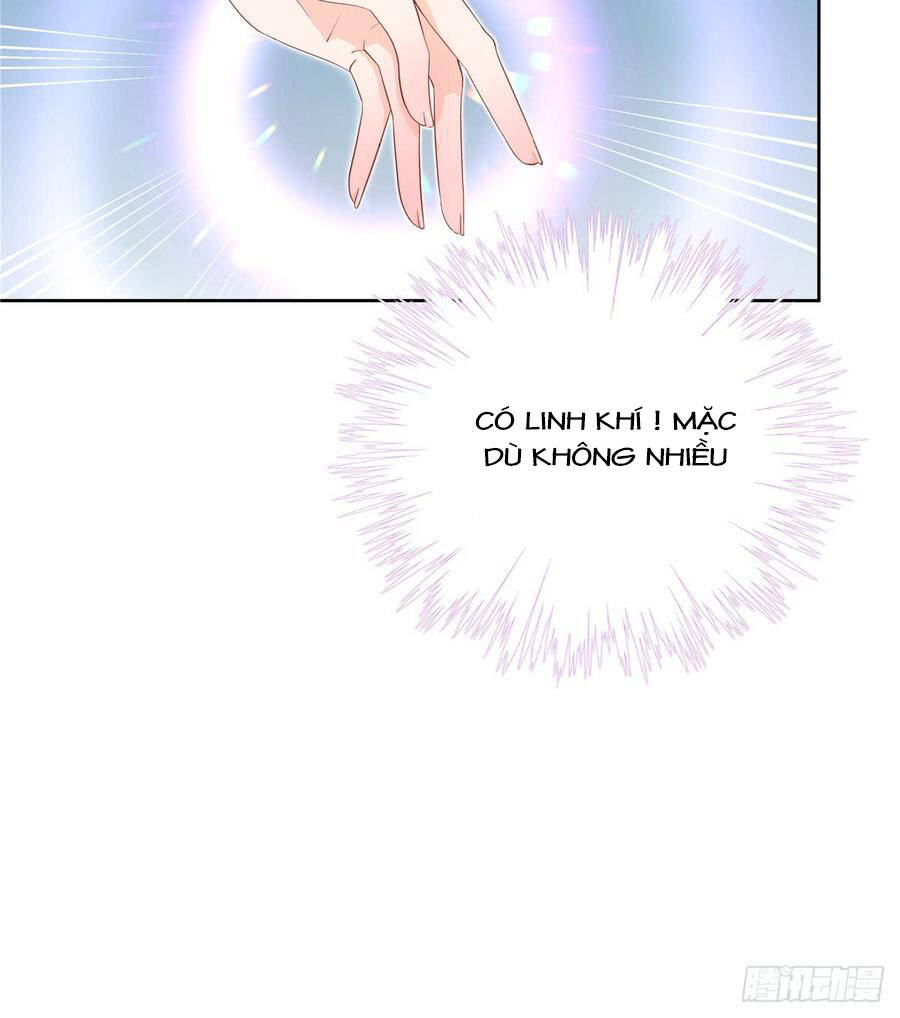 Đồ Đệ Nhà Ta Lại Quải Rồi - Chương 239