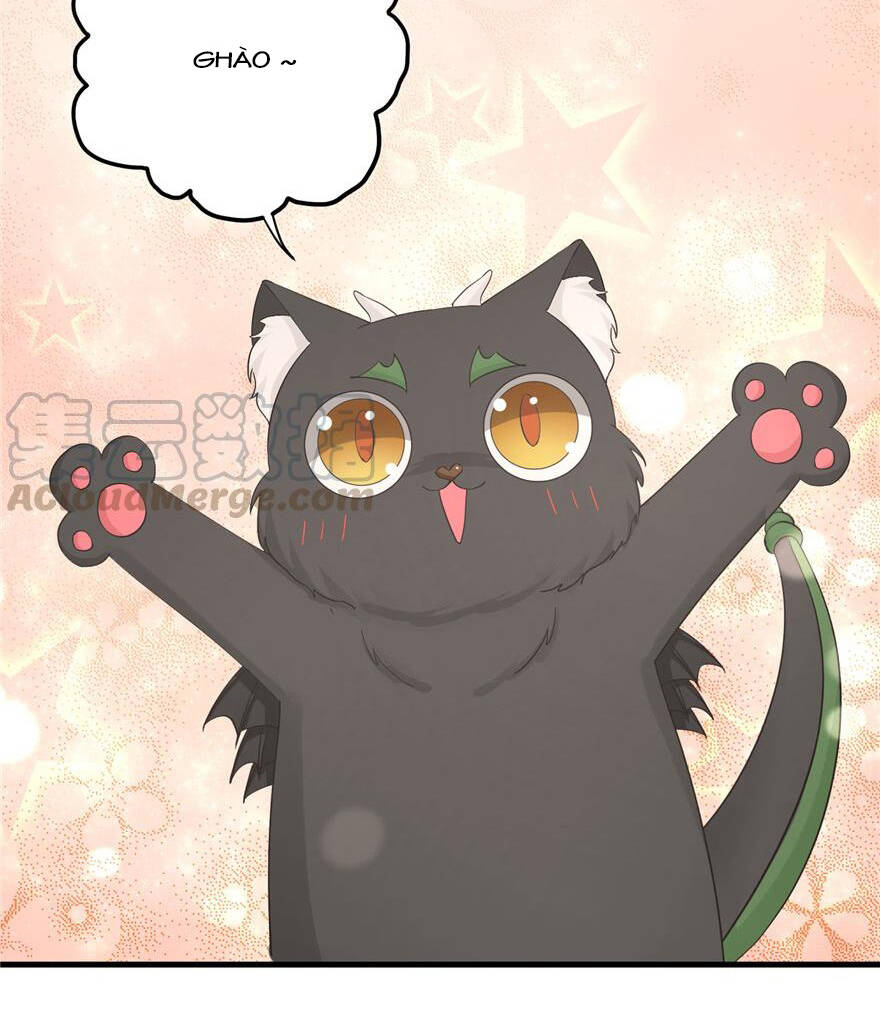 Đồ Đệ Nhà Ta Lại Quải Rồi - Chương 181