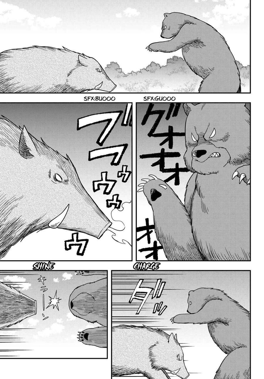 Jitsu Wa Ore, Saikyou Deshita? - Chương 17.5