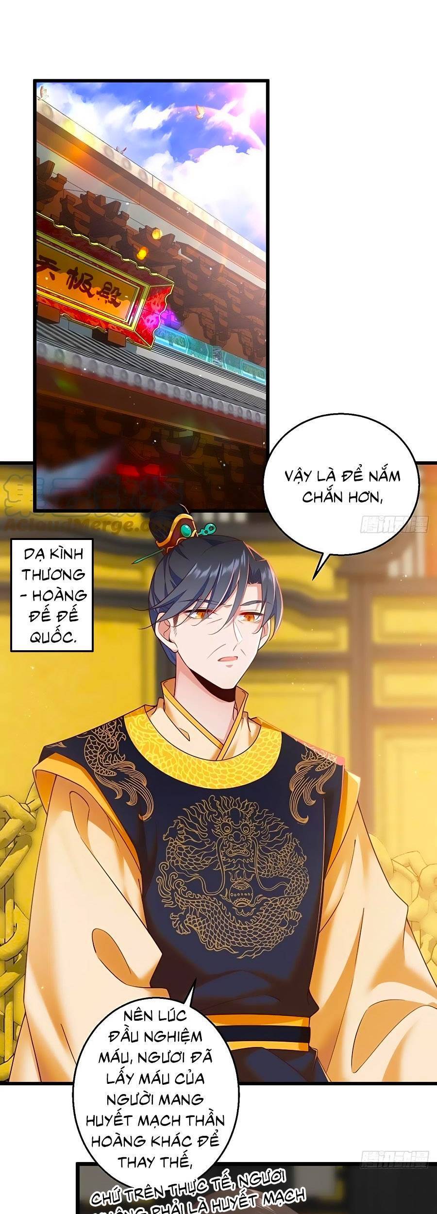 Manh Sư Tại Thượng - Chương 336