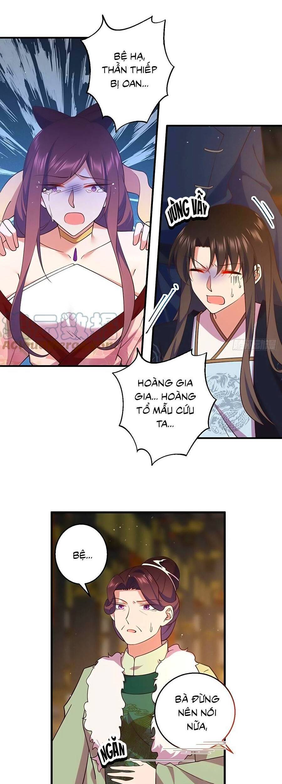 Manh Sư Tại Thượng - Chương 341