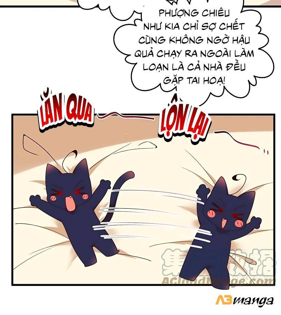 Manh Sư Tại Thượng - Chương 343