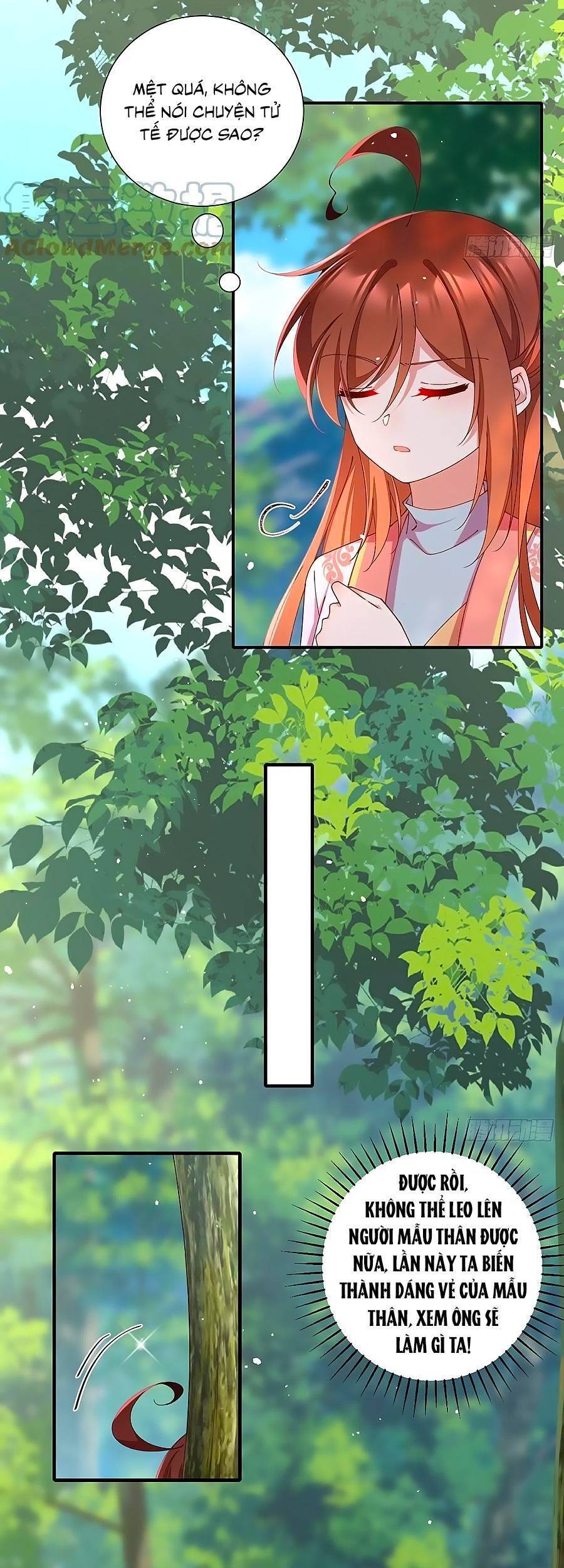 Manh Sư Tại Thượng - Chương 367