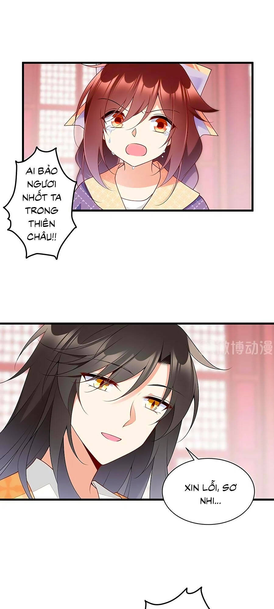 Manh Sư Tại Thượng - Chương 255