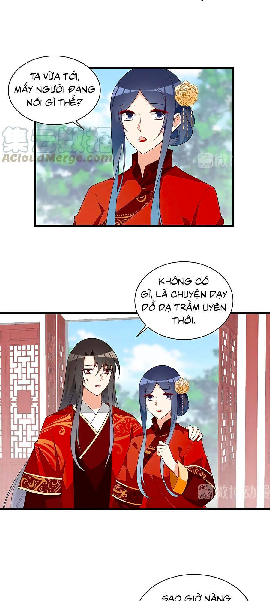 Manh Sư Tại Thượng - Chương 257