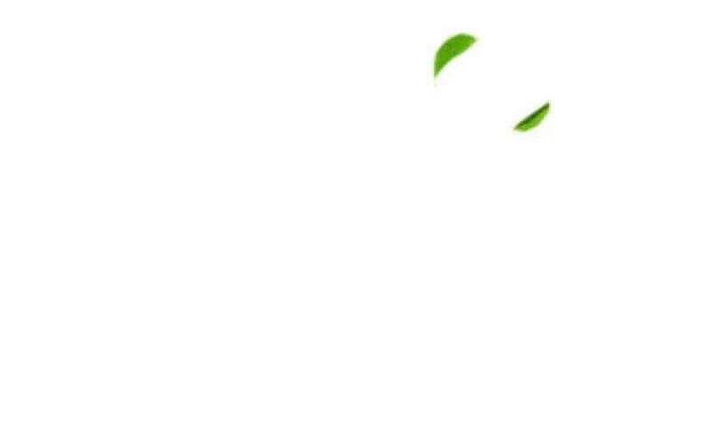 Ngạo Thị Thiên Địa - Chương 378