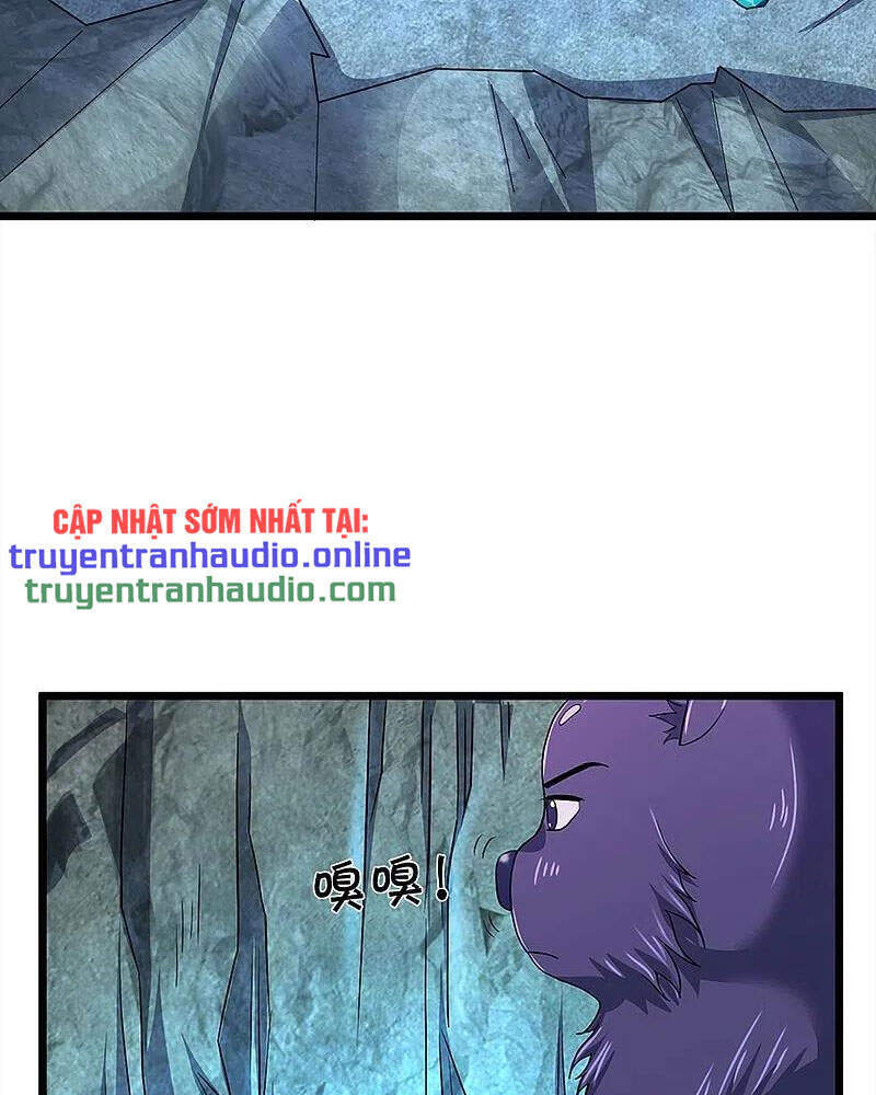 Thần Võ Thiên Tôn - Chương 368