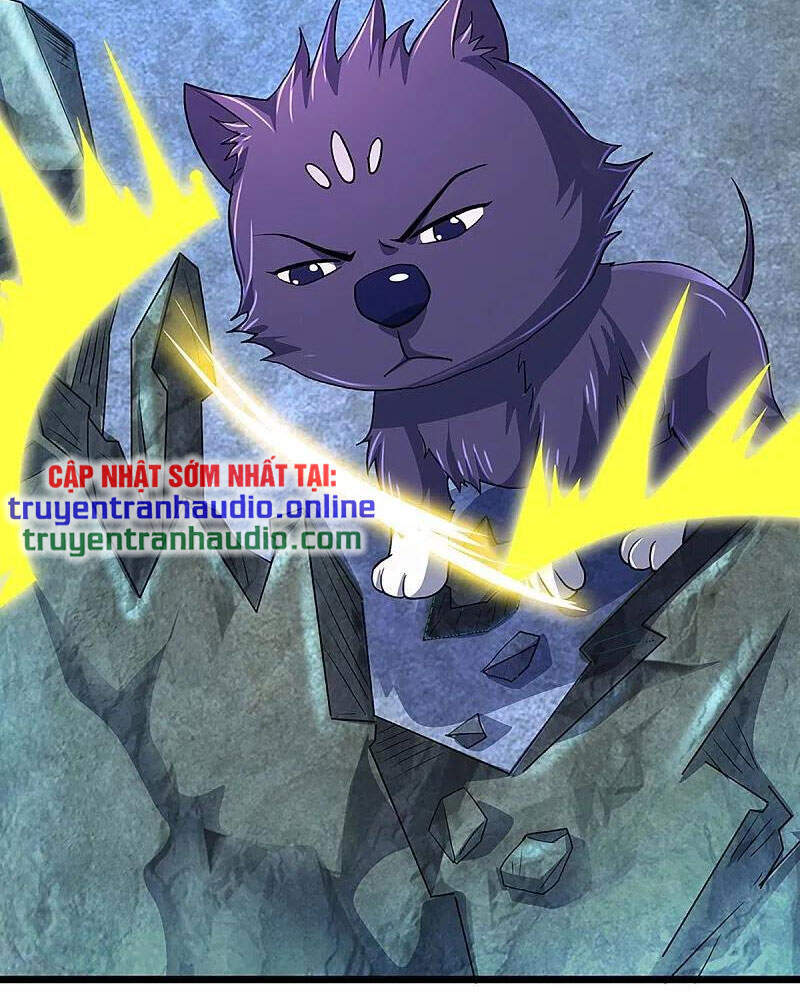 Thần Võ Thiên Tôn - Chương 368