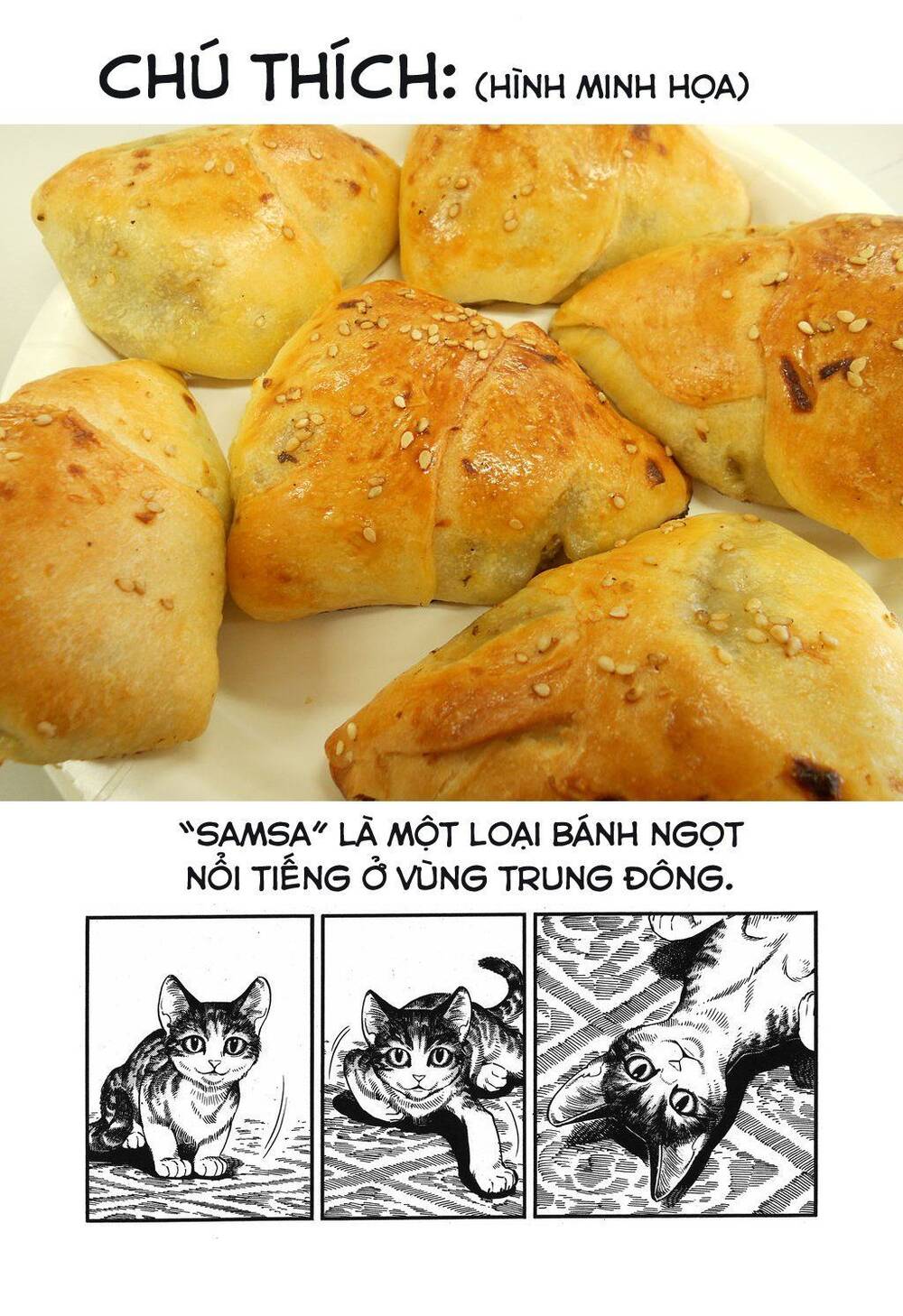 Cô Dâu Thảo Nguyên - Chương 78