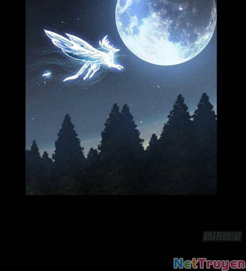 Đại Tượng Vô Hình - Chương 219