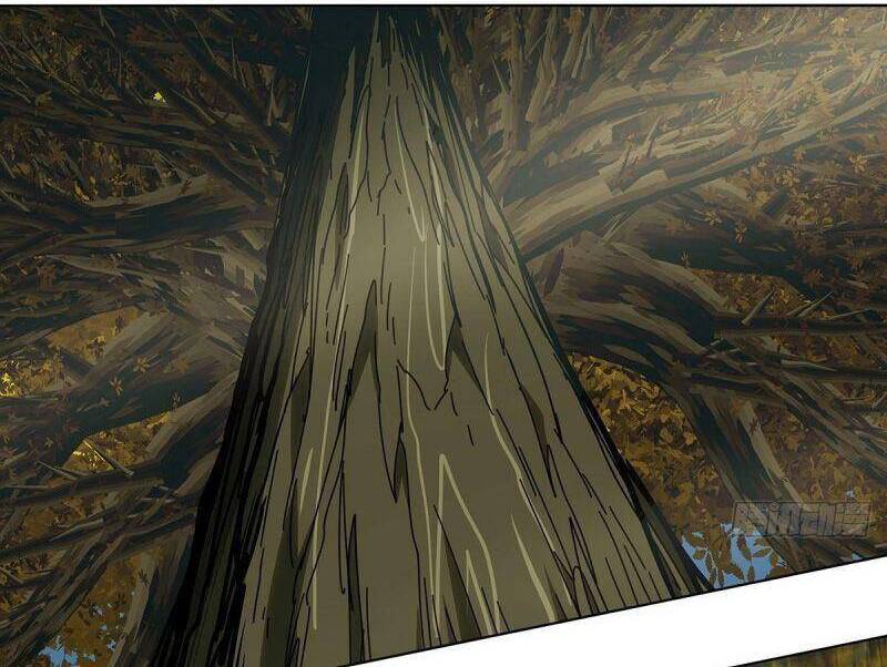 Đại Tượng Vô Hình - Chương 223