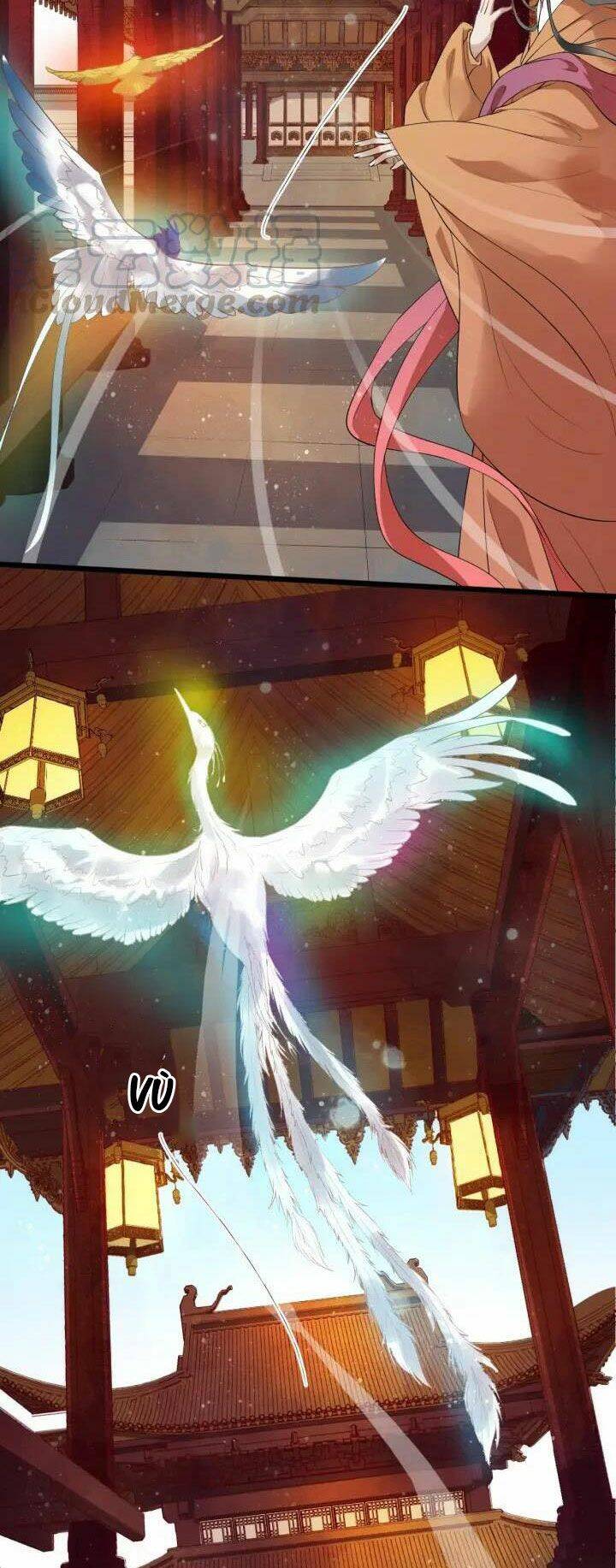 Bồng Sơn Viễn 2 - Chương 18