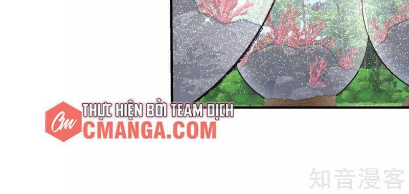 Hỗn Độn Đan Thần - Chương 155