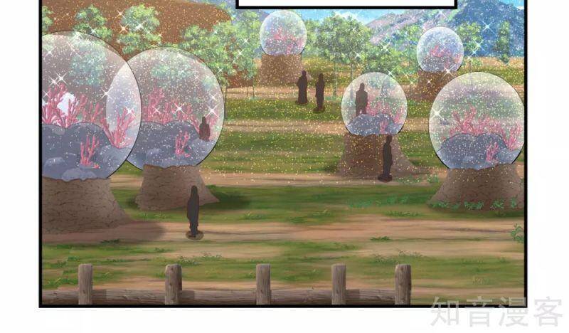 Hỗn Độn Đan Thần - Chương 155