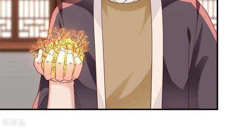 Hỗn Độn Đan Thần - Chương 205