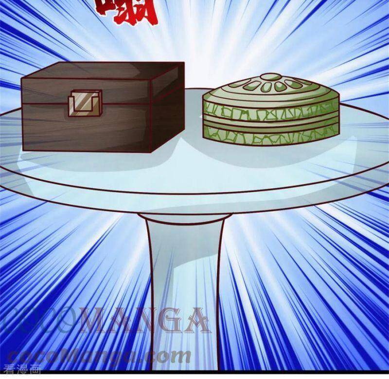 Hỗn Độn Đan Thần - Chương 248