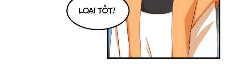 Hỗn Độn Đan Thần - Chương 252