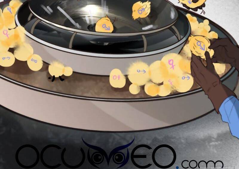 Quan Hệ Không Hoàn Hảo - Chương 70