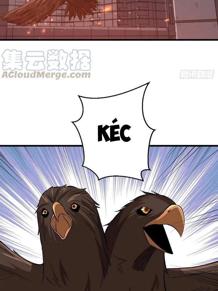 Trở Về Làm Đại Lão Thời Mạt Thế - Chương 162