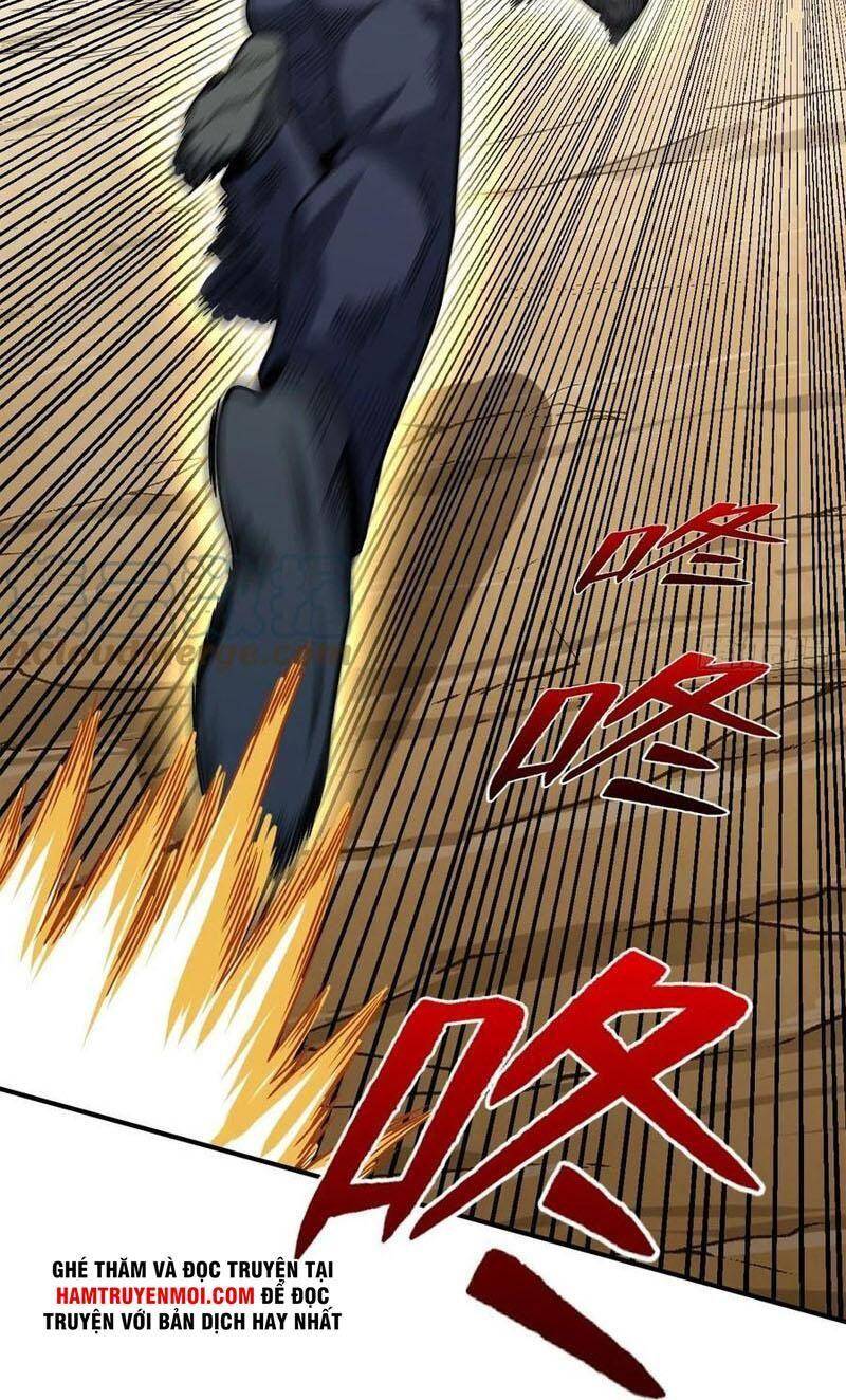 Trở Về Làm Đại Lão Thời Mạt Thế - Chương 251