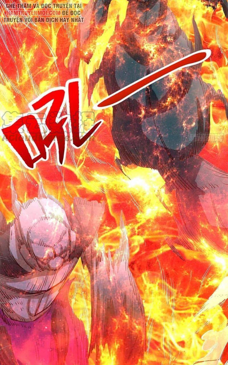 Trở Về Làm Đại Lão Thời Mạt Thế - Chương 255