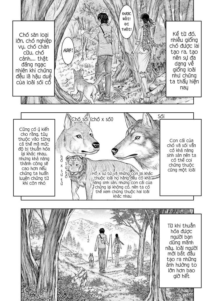 Trở Lại Thời Kì Đồ Đá - Chương 24