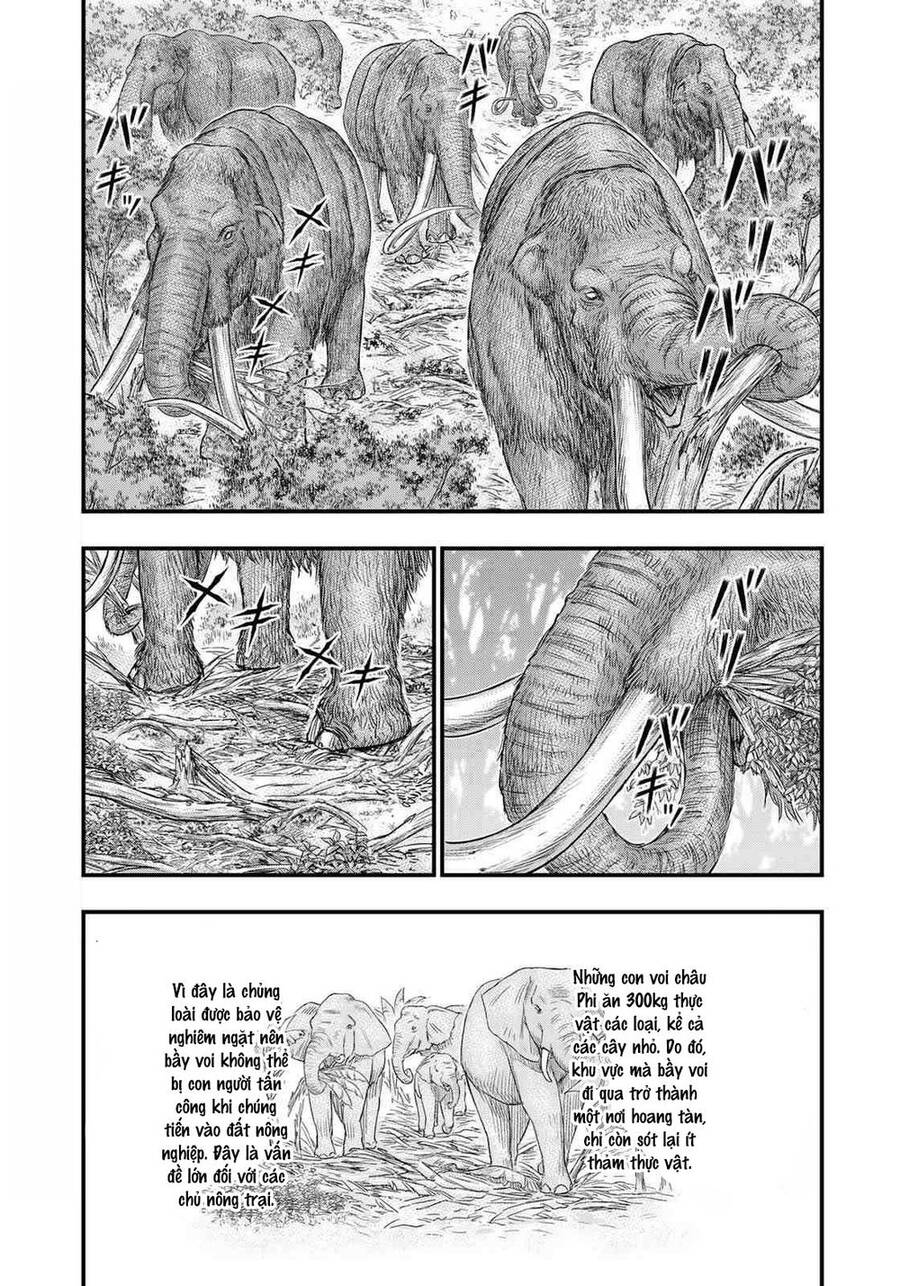 Trở Lại Thời Kì Đồ Đá - Chương 40