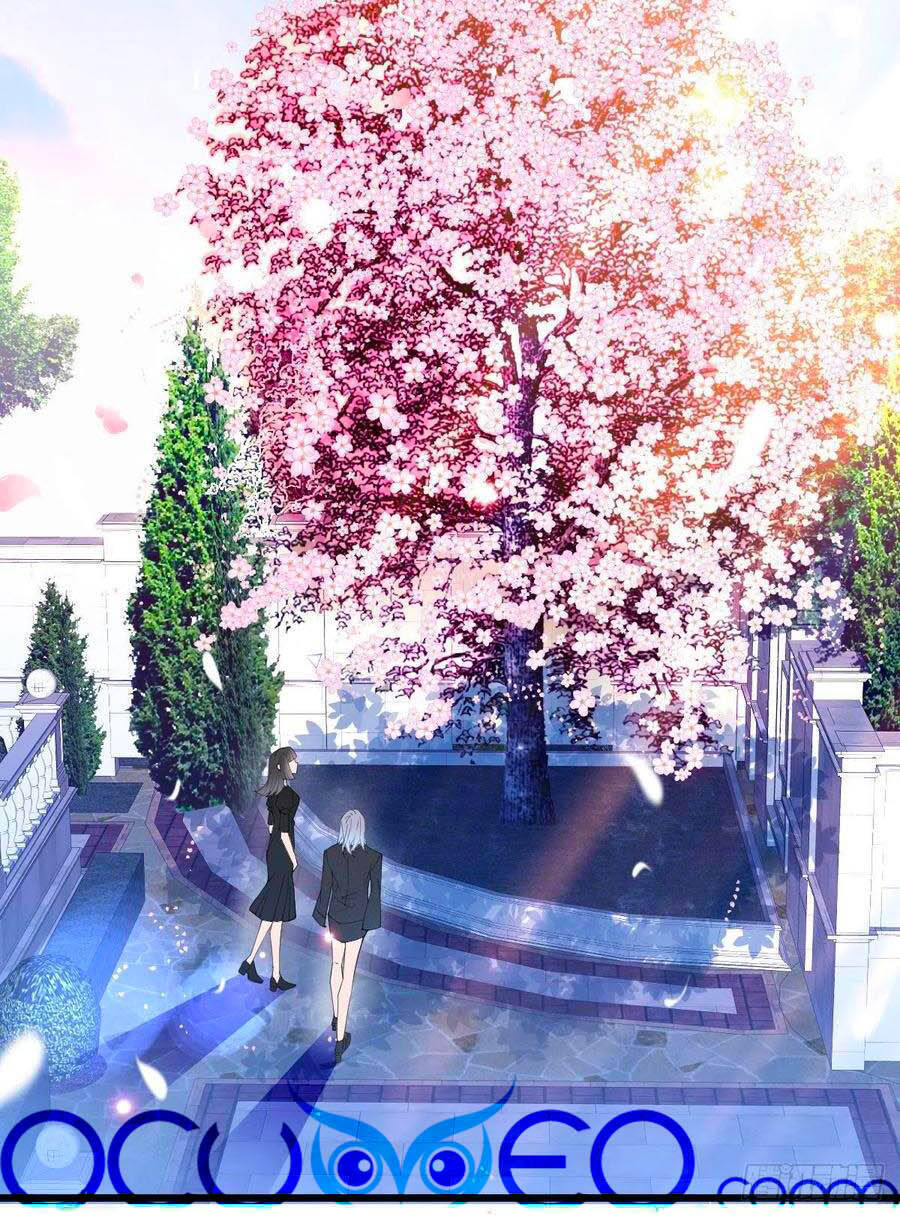 Cô Vợ Mang Thai Một Tặng Một - Chương 111