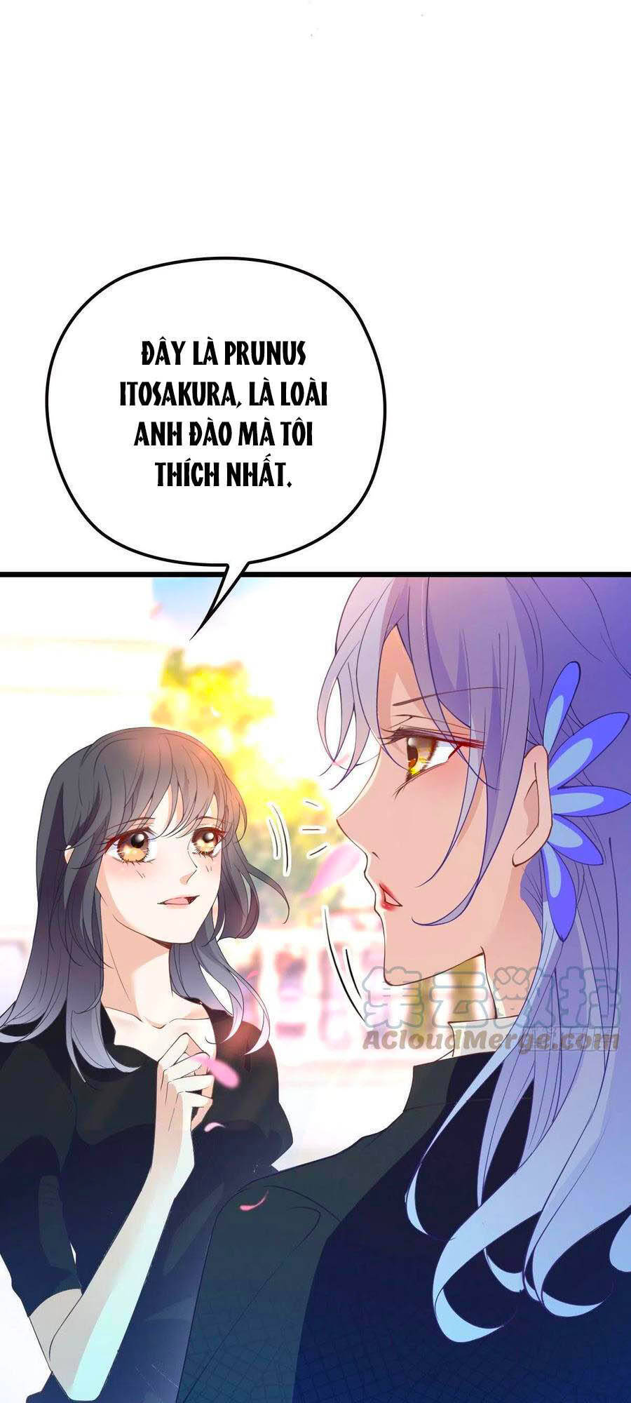 Cô Vợ Mang Thai Một Tặng Một - Chương 111