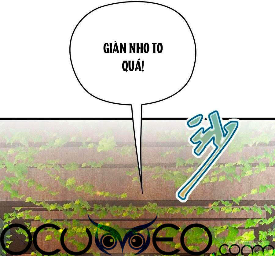 Cô Vợ Mang Thai Một Tặng Một - Chương 115