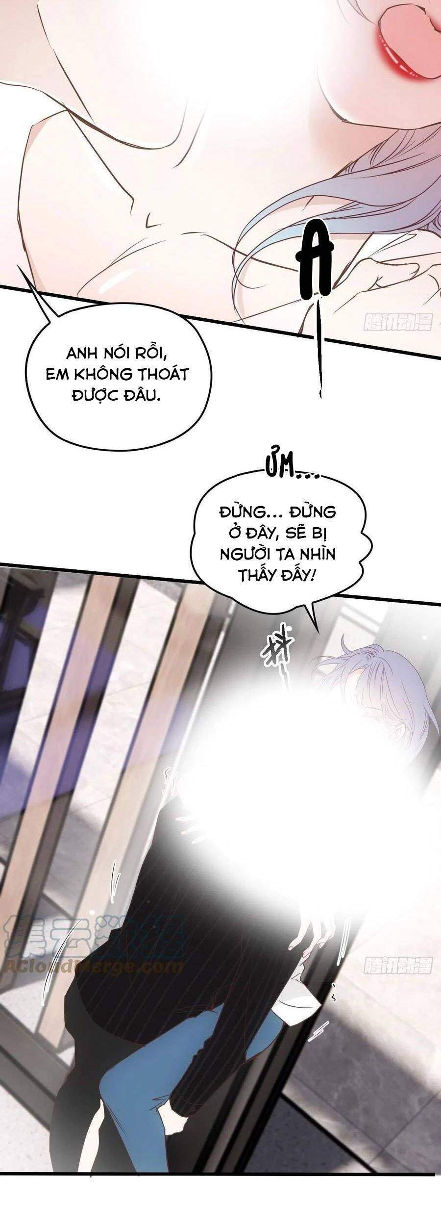 Cô Vợ Mang Thai Một Tặng Một - Chương 143