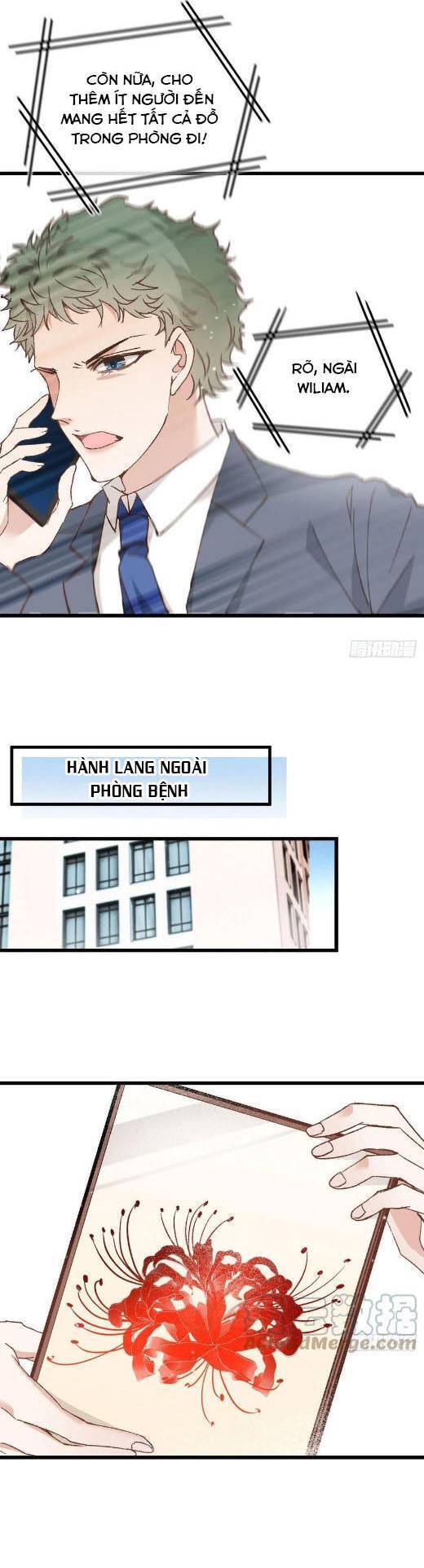 Cô Vợ Mang Thai Một Tặng Một - Chương 161