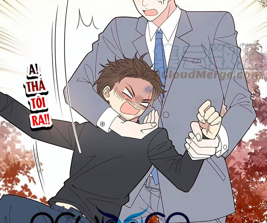 Cô Vợ Mang Thai Một Tặng Một - Chương 82