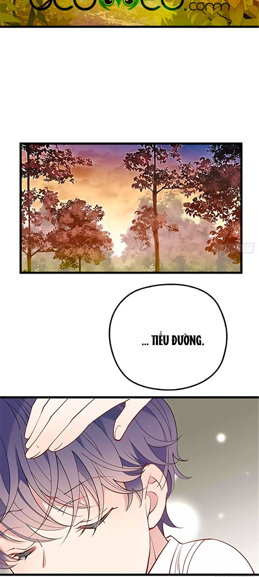 Cô Vợ Mang Thai Một Tặng Một - Chương 82