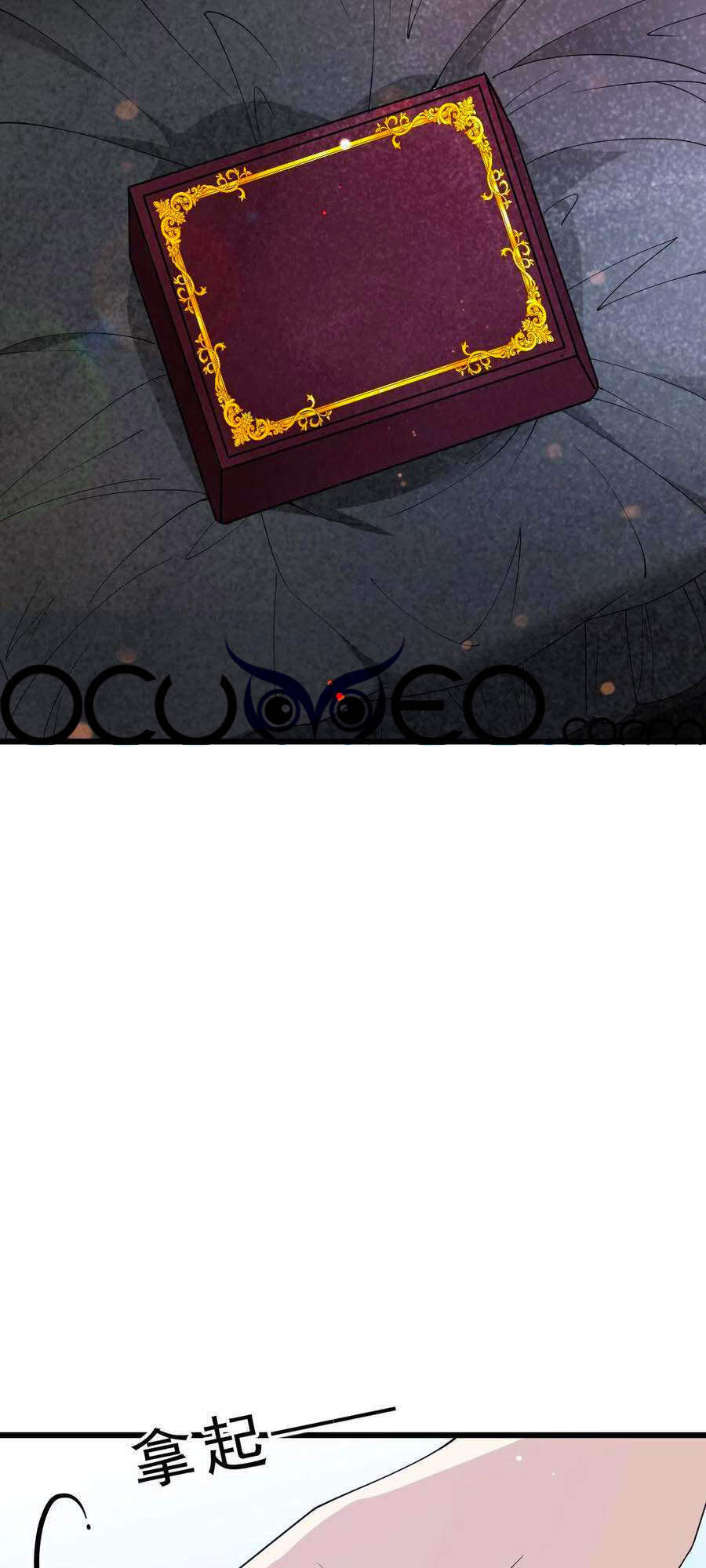 Cô Vợ Mang Thai Một Tặng Một - Chương 116