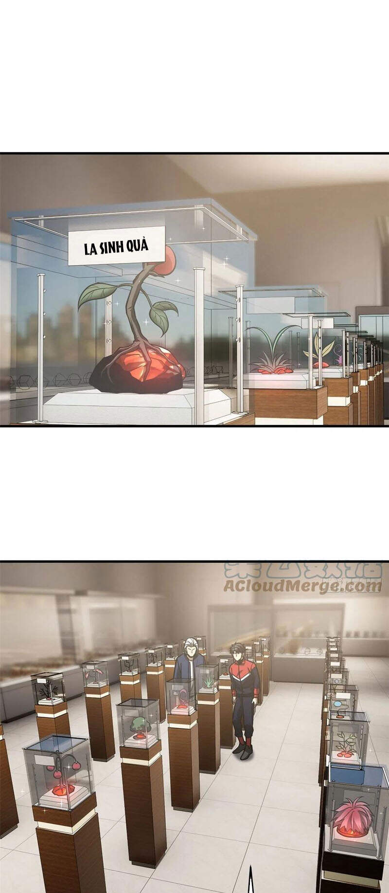 Toàn Cầu Cao Võ - Chương 114