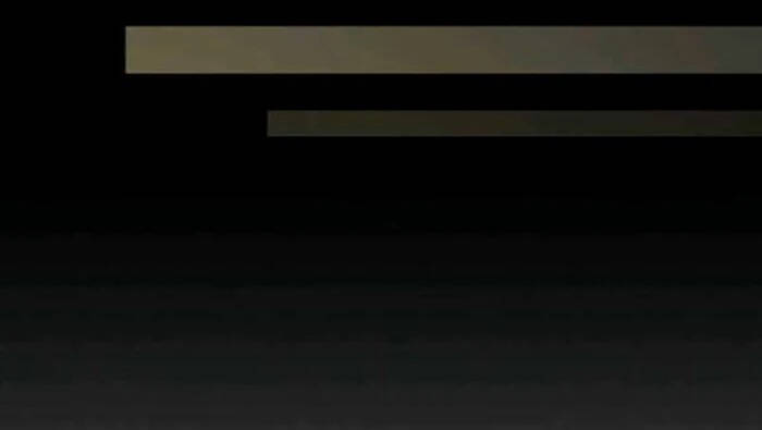 Level Up Chỉ Bằng Cách Ăn Cơm - Chương 102.5