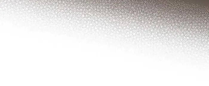 Level Up Chỉ Bằng Cách Ăn Cơm - Chương 102.5