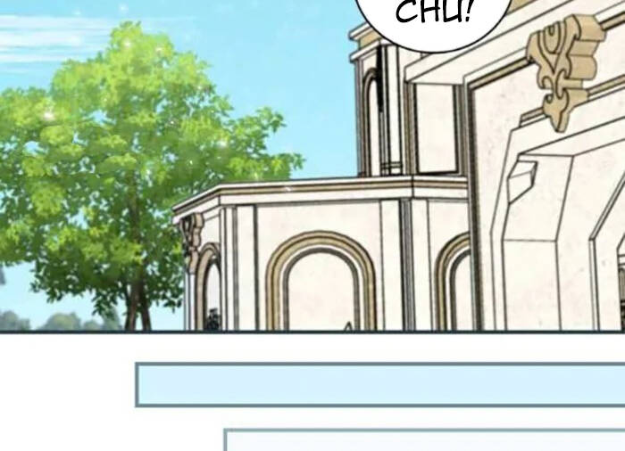 Level Up Chỉ Bằng Cách Ăn Cơm - Chương 102