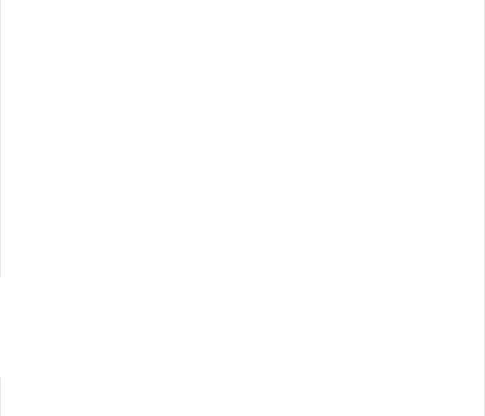 Level Up Chỉ Bằng Cách Ăn Cơm - Chương 77