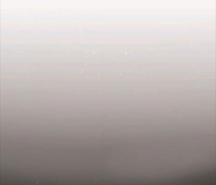 Level Up Chỉ Bằng Cách Ăn Cơm - Chương 81